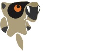 CityIo
